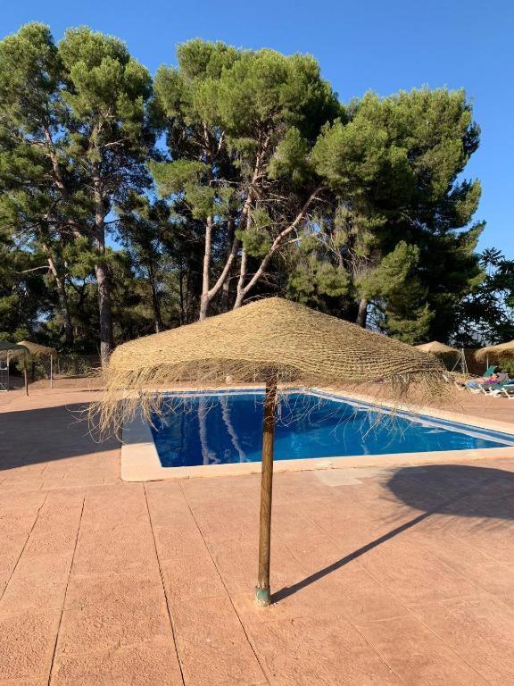 Masia De San Juan - Castillo Con Piscina En Plena Sierra Calderona 세고르베 외부 사진